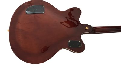 Custom Sovereign Chet 6122 Country Gentleman Vintage Guitar - Image 6