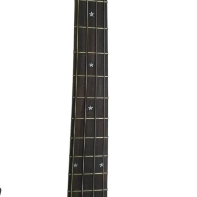 Custom Nova Lemmy Kilmister Engrave 4004 Walnut Satin 4 String Bass - Image 6
