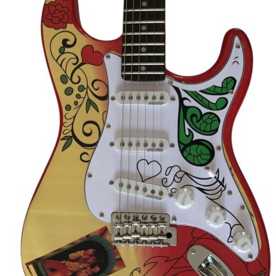 Custom Regent Jimi Monterey Floral Guitar