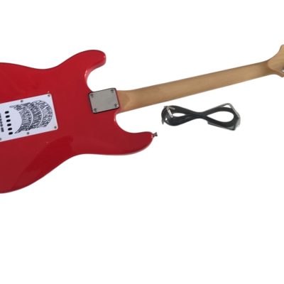 Custom Regent Jimi Monterey Floral Guitar - Image 8