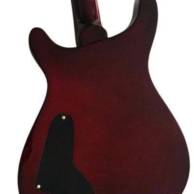 Custom Monarch SE Aqua Teal Blue Flame Maple Top Guitar - Image 5