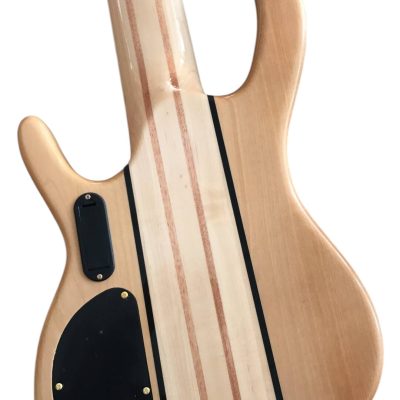 Custom Denver Elite Figured Wood Quilted Maple 5 String Bass - Image 4