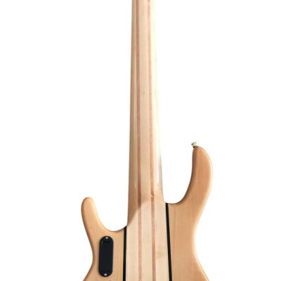 Custom Denver Elite Figured Wood Quilted Maple 5 String Bass - Image 5