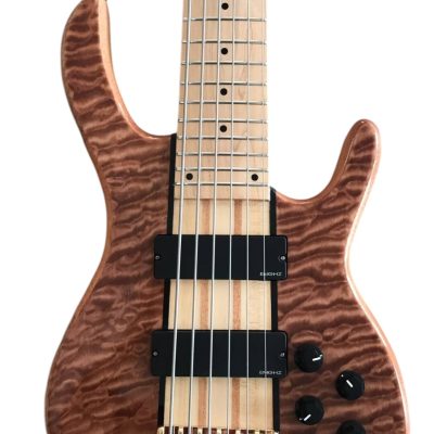 Custom Denver Elite Figured Wood Quilted Maple 5 String Bass