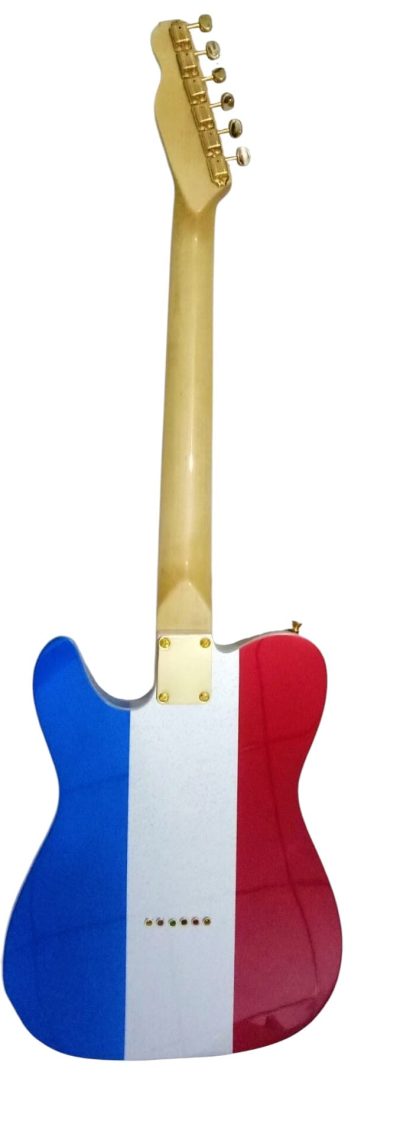Custom Regent Buck Owens Red Blue Silver Sparkle Finish Guitar Gold Pickguard - Image 5