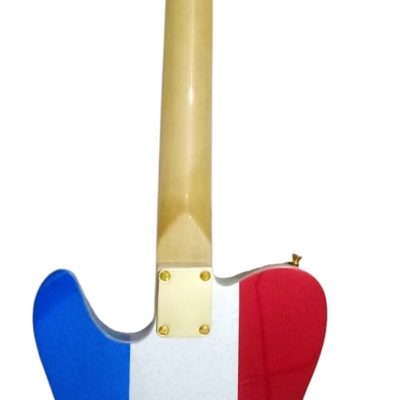 Custom Regent Buck Owens Red Blue Silver Sparkle Finish Guitar Gold Pickguard - Image 5