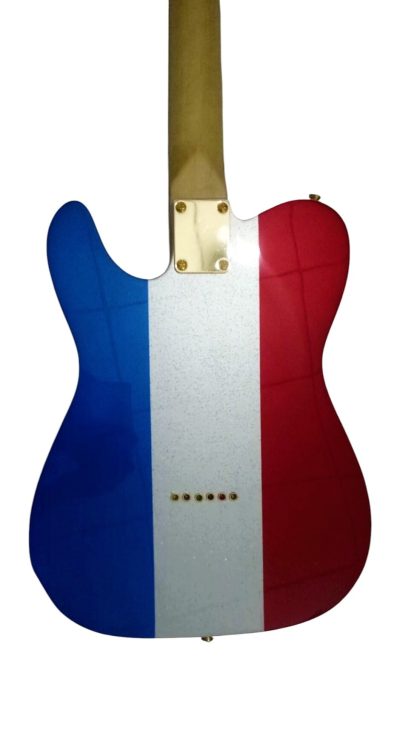 Custom Regent Buck Owens Red Blue Silver Sparkle Finish Guitar Gold Pickguard - Image 6