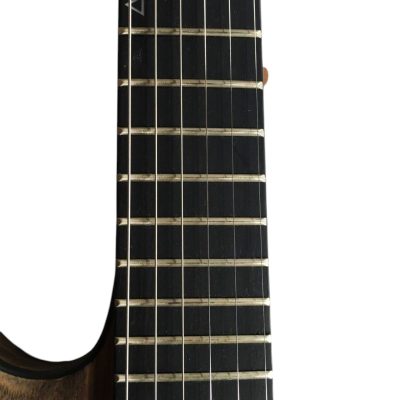 Custom Titan C1 EX Apocalypse Baritone Rusty Grey Guitar - Image 4