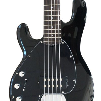 Custom Aether Sting Black 5 String 1 Pickup Bass