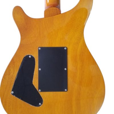 Custom Monarch 24 Teal Flame Maple Top Tremolo Guitar - Image 11