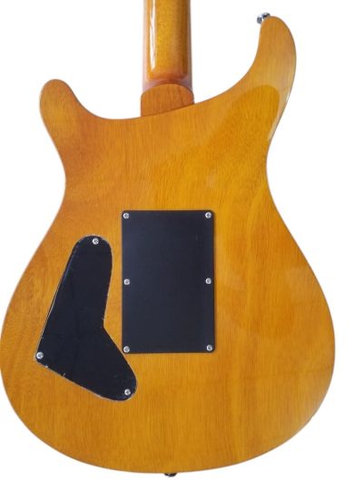 Custom Monarch 24 Teal Flame Maple Top Tremolo Guitar - Image 11