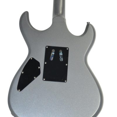 Custom Obsidian RZK 600 Richard Platinum Silver Tremolo Guitar - Image 8