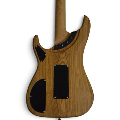 Custom Aurelius Nuno N4 Bettencourt  Natural Electric Guitar Floyd Rose Tremolo - Image 4