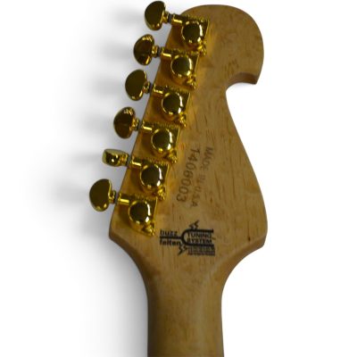 Custom Aurelius Nuno N4 Bettencourt  Natural Electric Guitar Floyd Rose Tremolo - Image 3
