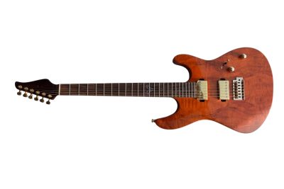 Custom Magnitude Roasted Alder Body Waterfall Burl Maple Top Guitar - Image 2