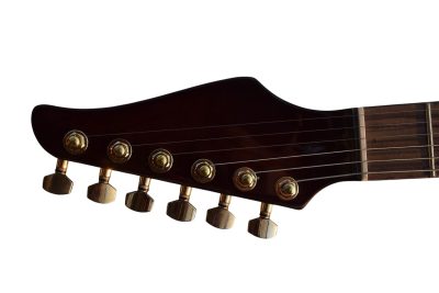 Custom Magnitude Roasted Alder Body Waterfall Burl Maple Top Guitar - Image 3