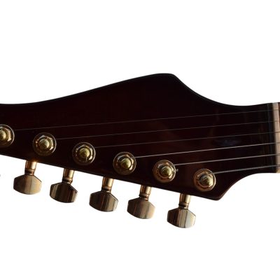 Custom Magnitude Roasted Alder Body Waterfall Burl Maple Top Guitar - Image 3