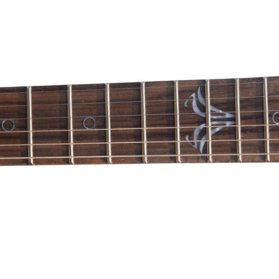 Custom Magnitude Roasted Alder Body Waterfall Burl Maple Top Guitar - Image 4