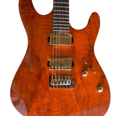 Custom Magnitude Roasted Alder Body Waterfall Burl Maple Top Guitar