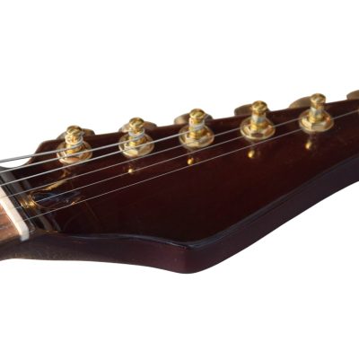 Custom Magnitude Roasted Alder Body Waterfall Burl Maple Top Guitar - Image 7