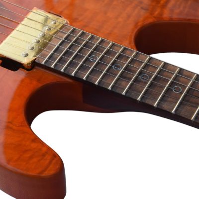Custom Magnitude Roasted Alder Body Waterfall Burl Maple Top Guitar - Image 8