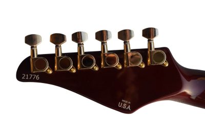 Custom Magnitude Roasted Alder Body Waterfall Burl Maple Top Guitar - Image 11