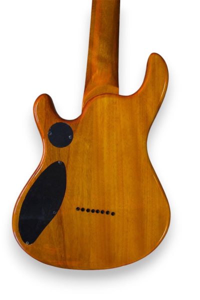 Custom Onyx Regius Blue Flame Maple 8 String Guitar - Image 11