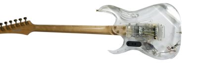Custom Axis Plexiglass Acrylic LED Tree of Life Inlay Jem Guitar Floyd Rose Tremolo - Image 5