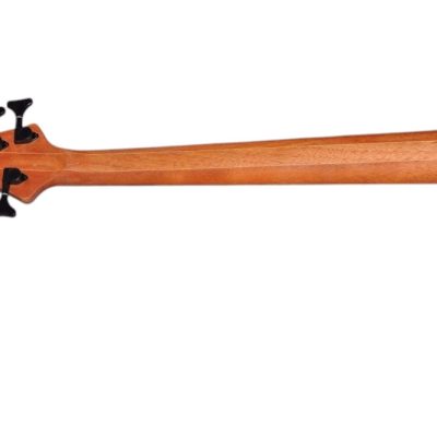 Custom Onyx Elite Natural Poplar Top 5 String Bass - Image 6