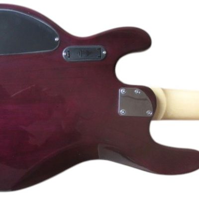 Custom Aether Ernie Purple Quilted Maple Top 5 String Bass - Image 6