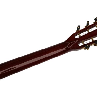 Custom Vertex D45 Acoustic Solid Spruce Top Flower Abalone Inlay Guitar - Image 6