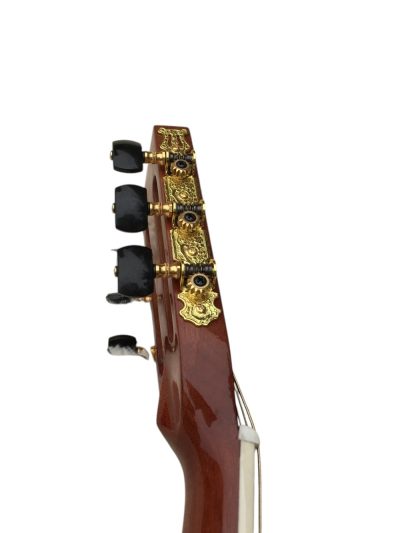 Custom Vertex D45 Classic Solid Spruce Top Acoustic Flower Abalone Guitar - Image 6