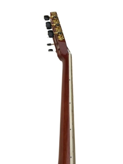 Custom Vertex D45 Classic Solid Spruce Top Acoustic Flower Abalone Guitar - Image 9