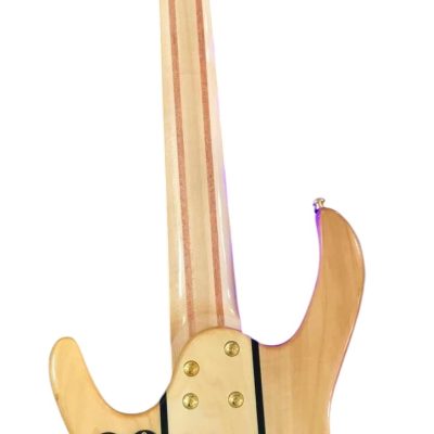 Custom Denver Elite Figured Wood Quilted Maple 5 String LED Fretboard Bass - Image 3