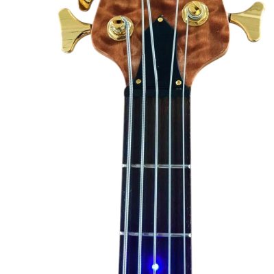 Custom Denver Elite Figured Wood Quilted Maple 5 String LED Fretboard Bass - Image 6