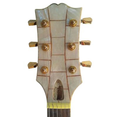 Custom Crown Mosaic Mother of Pearl Guitar - Image 5