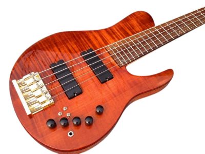 Custom Solis Imperial Matthew Garrison 5 String Bass Redwood Burl Top - Image 2
