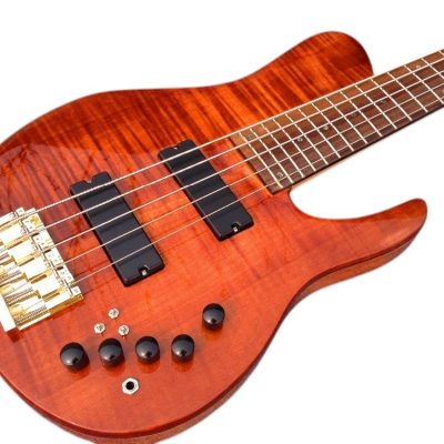 Custom Solis Imperial Matthew Garrison 5 String Bass Redwood Burl Top - Image 2