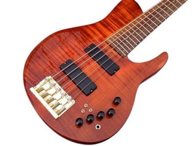 Custom Solis Imperial Matthew Garrison 5 String Bass Redwood Burl Top