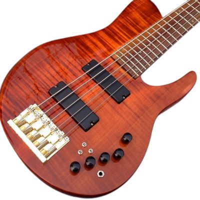 Custom Solis Imperial Matthew Garrison 5 String Bass Redwood Burl Top