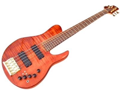 Custom Solis Imperial Matthew Garrison 5 String Bass Redwood Burl Top - Image 9