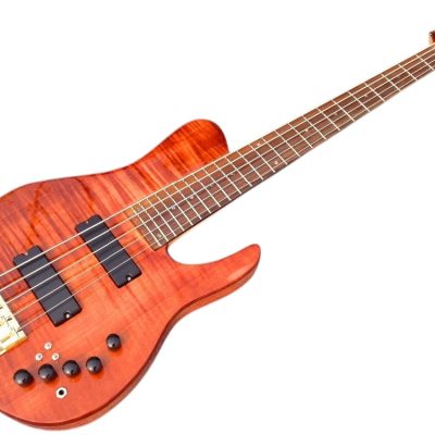 Custom Solis Imperial Matthew Garrison 5 String Bass Redwood Burl Top - Image 9
