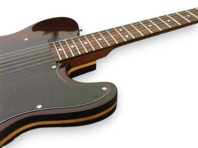 Custom Regent TL George Harrison Rosewood Brown Guitar - Image 2