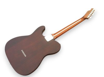 Custom Regent TL George Harrison Rosewood Brown Guitar - Image 5