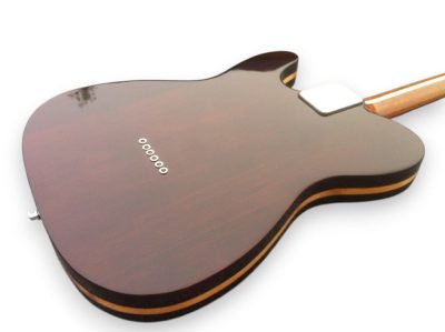 Custom Regent TL George Harrison Rosewood Brown Guitar - Image 6