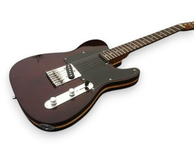 Custom Regent TL George Harrison Rosewood Brown Guitar