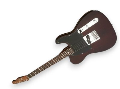Custom Regent TL George Harrison Rosewood Brown Guitar - Image 9