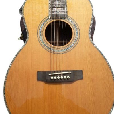 Custom Vertex OM D45 Acoustic Solid Spruce Top Flower Abalone Inlay Guitar