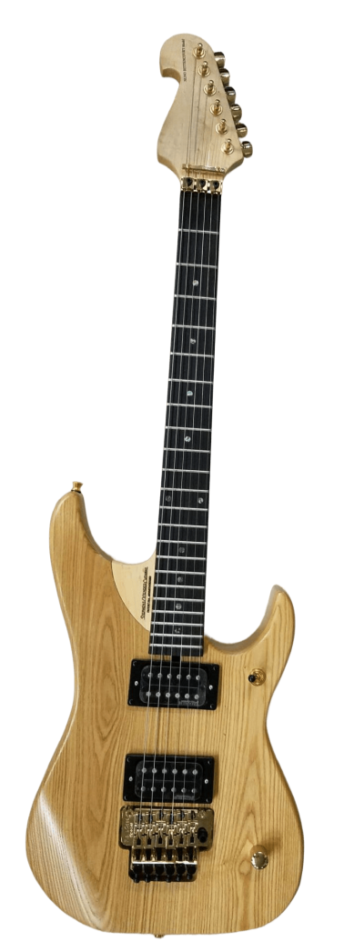 Custom Aurelius Nuno N4 Bettencourt  Electric Guitar Floyd Rose Tremolo - Image 3