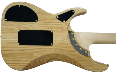 Custom Aurelius Nuno N4 Bettencourt  Electric Guitar Floyd Rose Tremolo - Image 5